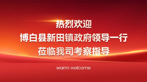 热烈欢迎博白县新田镇政府领导一行莅临我司考察指导