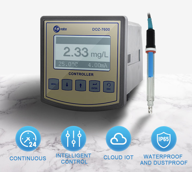 Dissolved ozone meter 